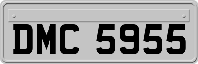 DMC5955