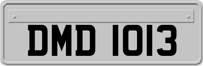 DMD1013