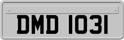 DMD1031