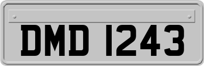 DMD1243
