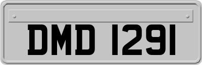 DMD1291