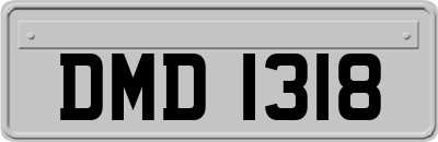 DMD1318