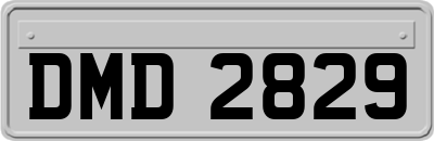 DMD2829