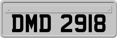 DMD2918