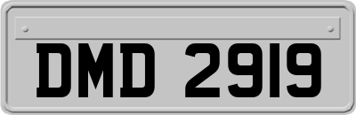 DMD2919
