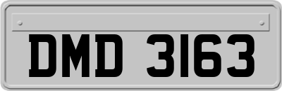 DMD3163