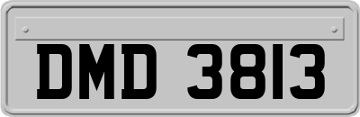 DMD3813