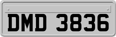 DMD3836