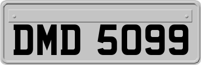 DMD5099