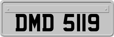 DMD5119