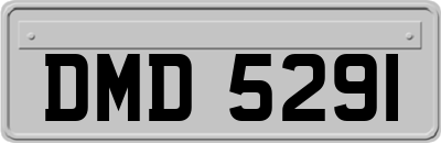 DMD5291