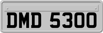 DMD5300
