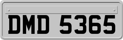 DMD5365
