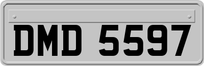 DMD5597