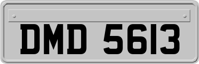 DMD5613