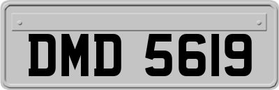 DMD5619