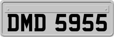 DMD5955