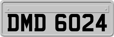 DMD6024