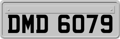 DMD6079