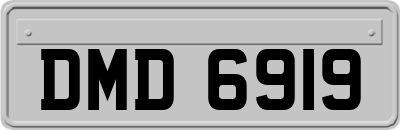 DMD6919