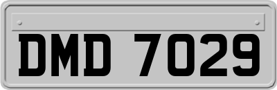 DMD7029