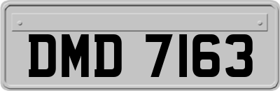 DMD7163