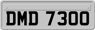 DMD7300