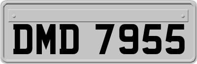 DMD7955