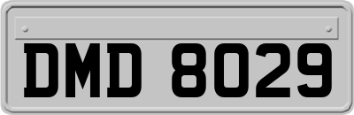 DMD8029