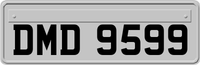 DMD9599