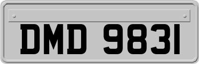 DMD9831