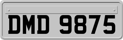 DMD9875