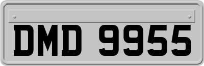 DMD9955
