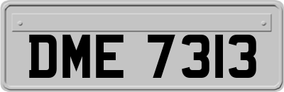 DME7313
