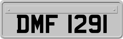 DMF1291
