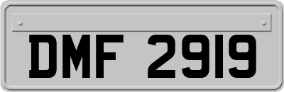 DMF2919