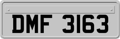 DMF3163