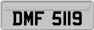DMF5119