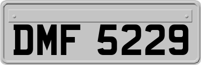 DMF5229