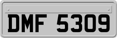 DMF5309