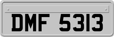 DMF5313