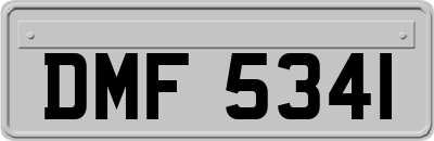 DMF5341