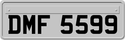 DMF5599