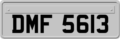 DMF5613