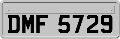 DMF5729