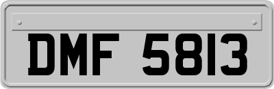 DMF5813
