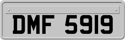 DMF5919