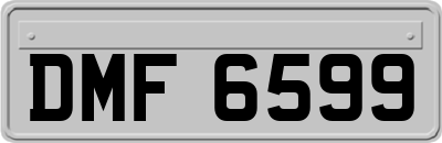 DMF6599