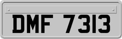 DMF7313