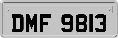 DMF9813